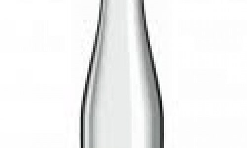 Natūralus mineralinis vanduo NEPTŪNAS, negazuotas, 330 ml